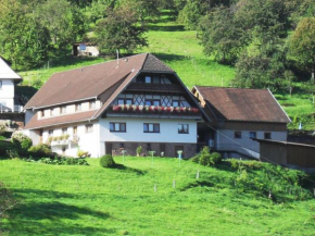 Гостиница Ferienhof Brutoni, Бад-Петерсталь-Грисбах